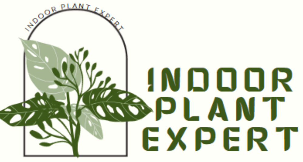 indoorplantexperts.com